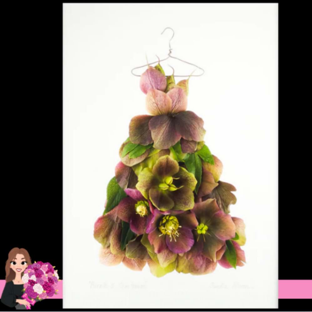 purple & chartreuse hellebore dress A3 unframed art print by Petal & Pins Hidden Florist, Sunbury`s Florist, Sunbury & Macedon Ranges, Victoria, Australia