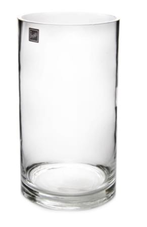 Glass Vase Wide Medium