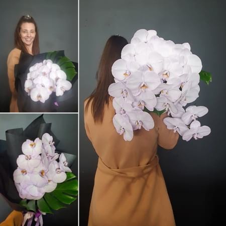 Phally Stems by Hidden Florist, Sunbury, Melbourne, Victoria 
