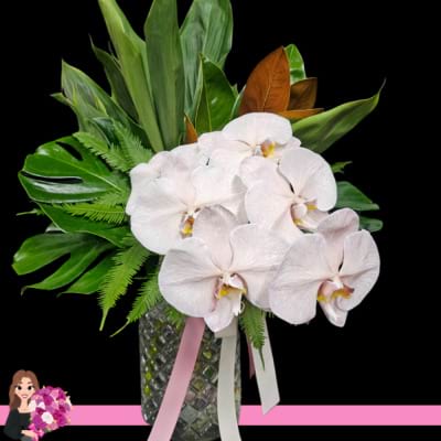 Luca Vase with Phalaenopsis Orchids
